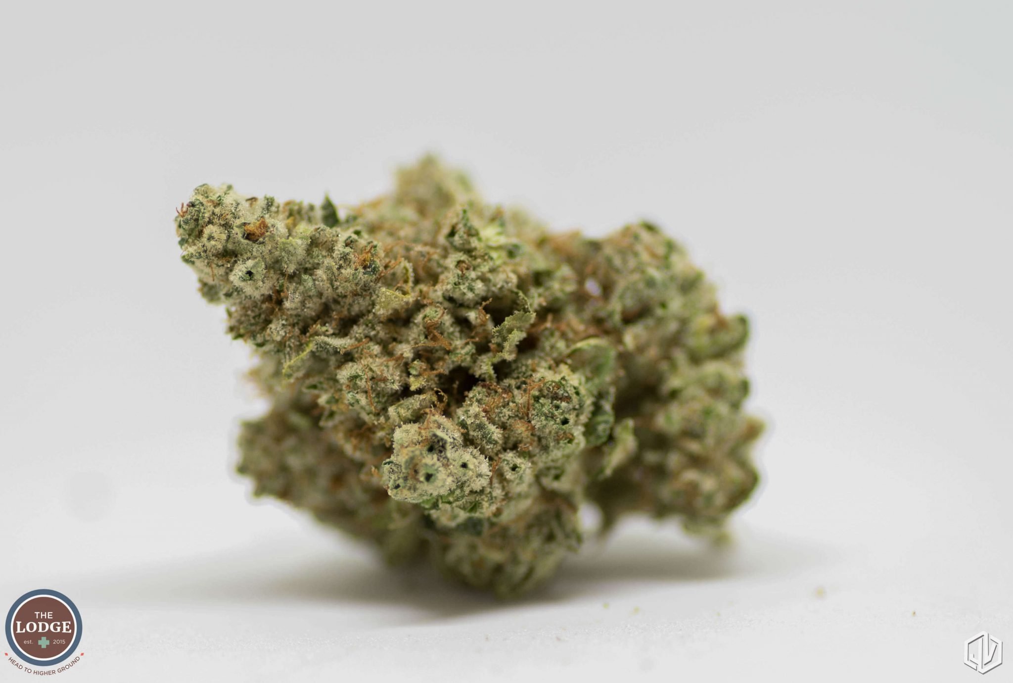 GG4