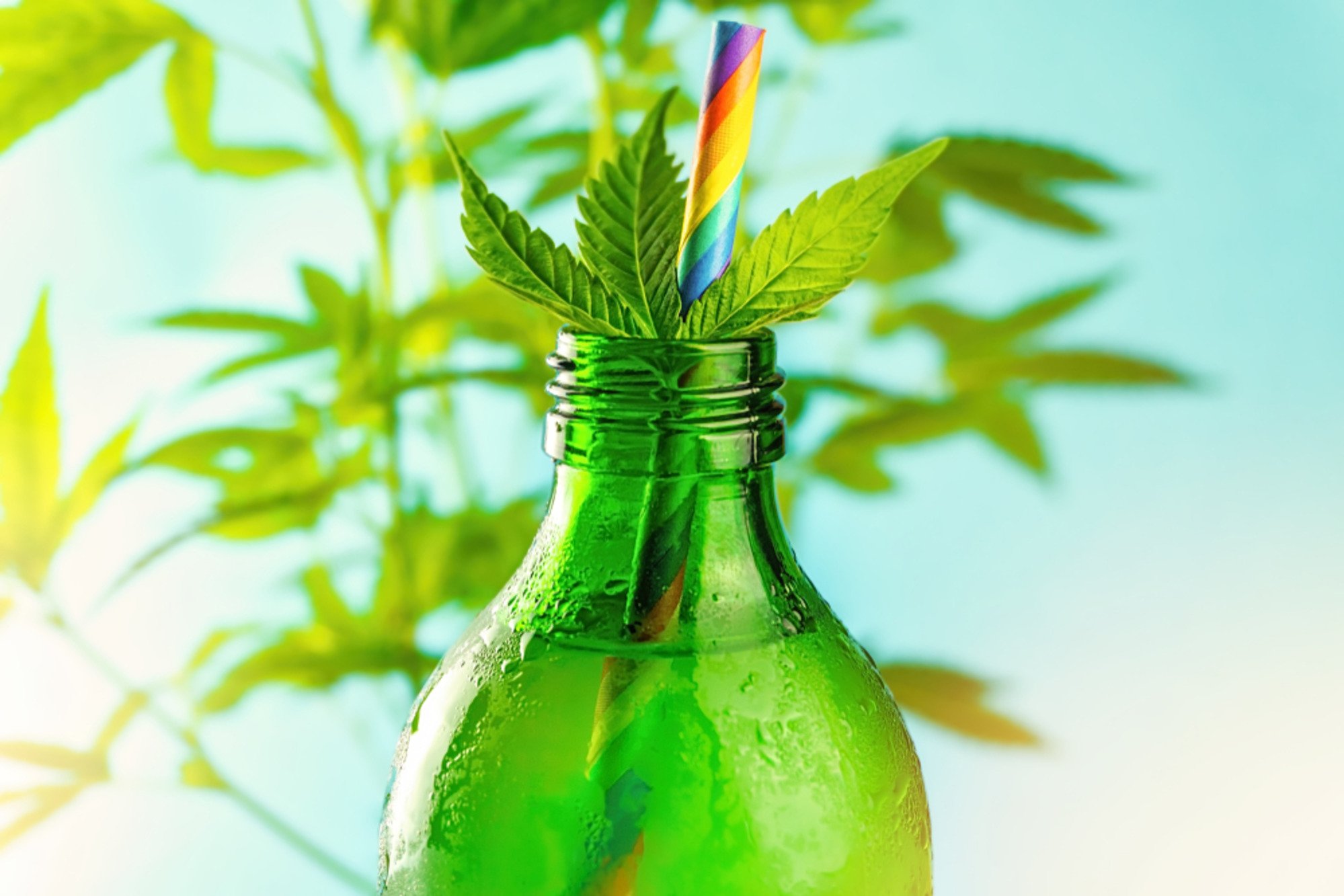 THC infused drink